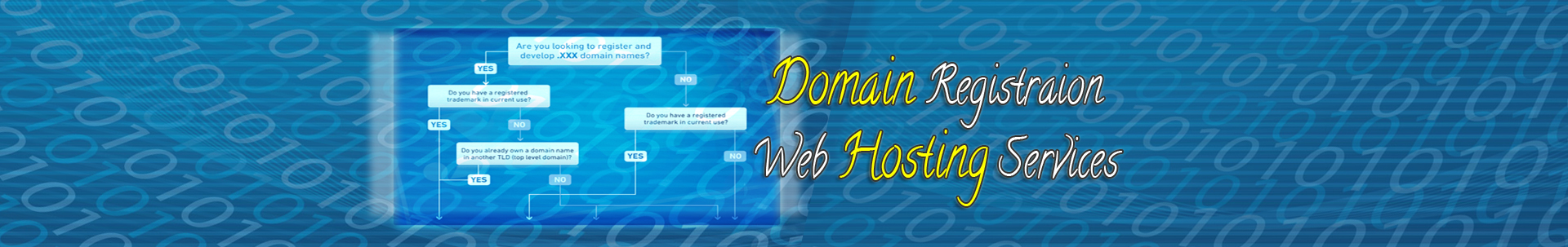 Domain Registration & Hosting